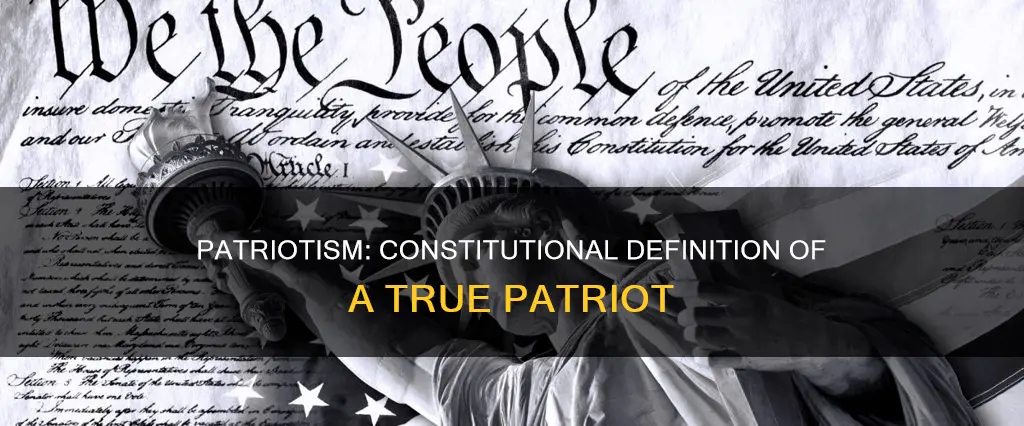 what is a patriot according to the constitution