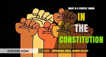 The Constitution's Perfect Union Explained