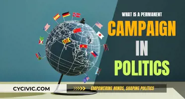 The Permanent Campaign: Politics Never Sleeps