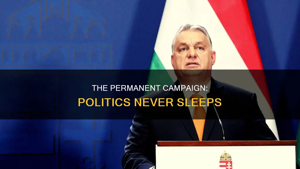 what is a permanent campaign in politics