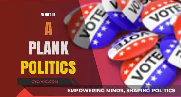 Understanding Plank Politics: Core Policies Shaping Political Platforms