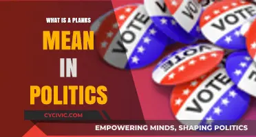 Decoding Political Jargon: What Does 'Planks' Mean in Politics?