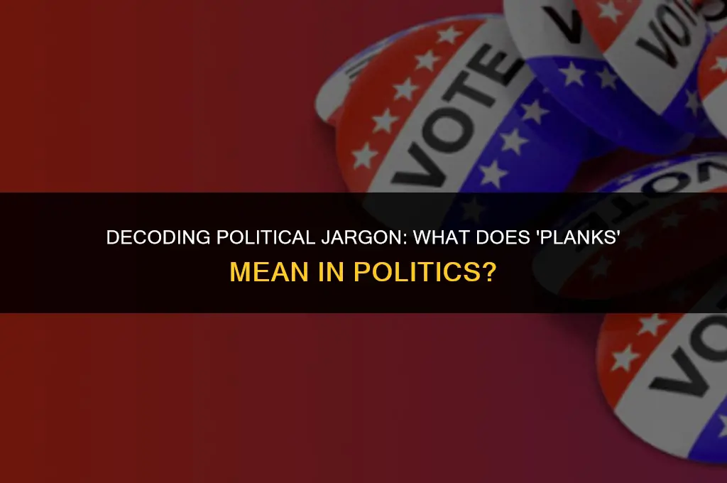 what is a planks mean in politics