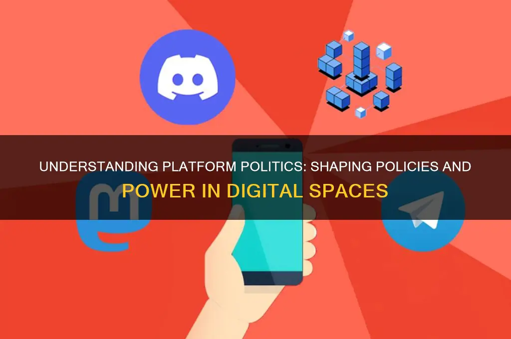 what is a platform politics