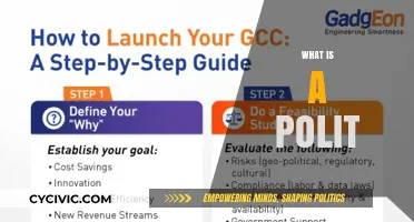 Understanding the Concept of a Polit: A Comprehensive Guide