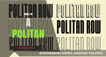 Understanding the Concept of a Politan: A Comprehensive Guide