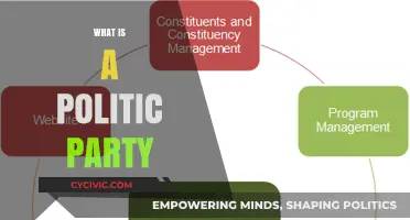 Understanding Political Parties: Their Role, Structure, and Influence in Democracy