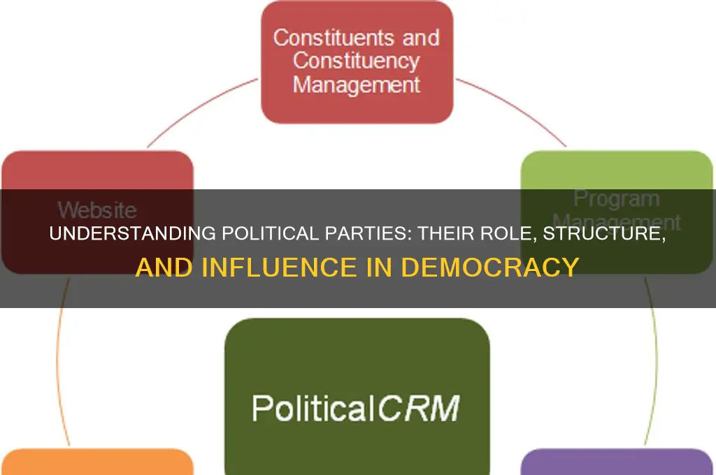 what is a politic party