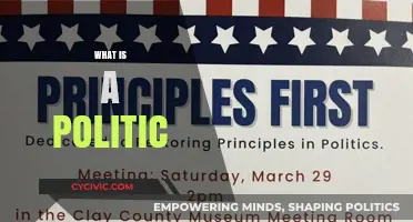 Understanding Politics: A Comprehensive Guide to Its Core Principles and Impact