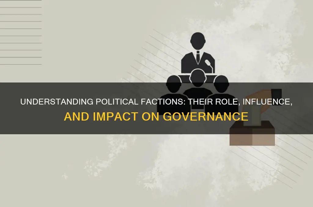 what is a politica faction