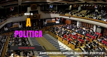 Understanding Politics: A Comprehensive Guide to Political Systems and Governance