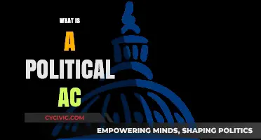 Understanding Political Action Committees: Their Role and Impact in Politics