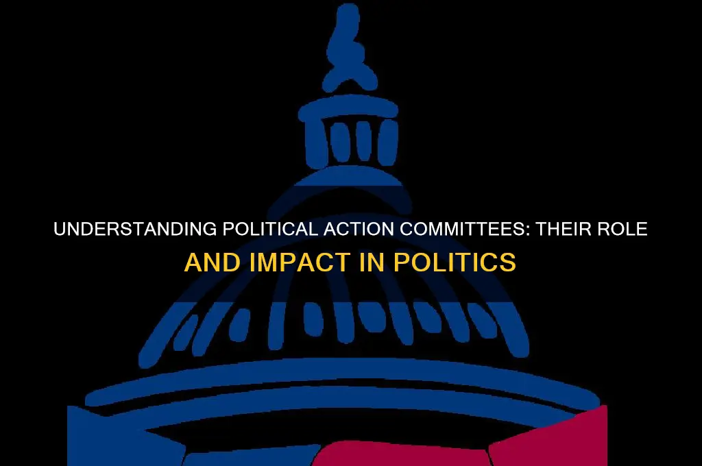 what is a political ac