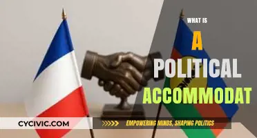 Understanding Political Accommodation: Strategies for Peace and Governance