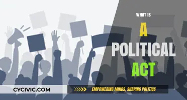 Understanding Political Acts: Actions, Impact, and Societal Change Explained