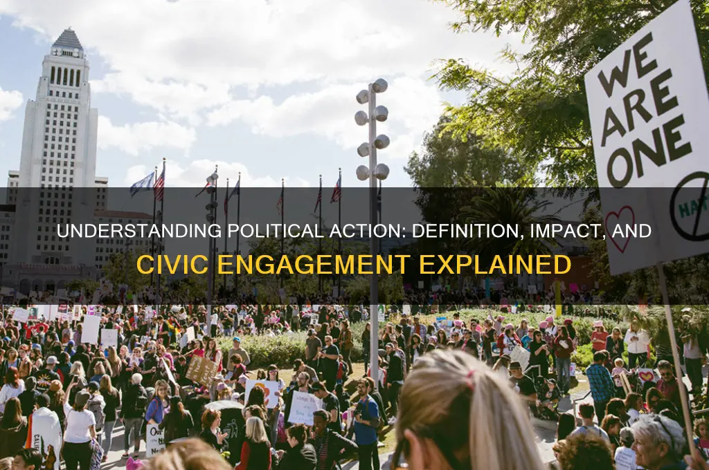 what is a political action