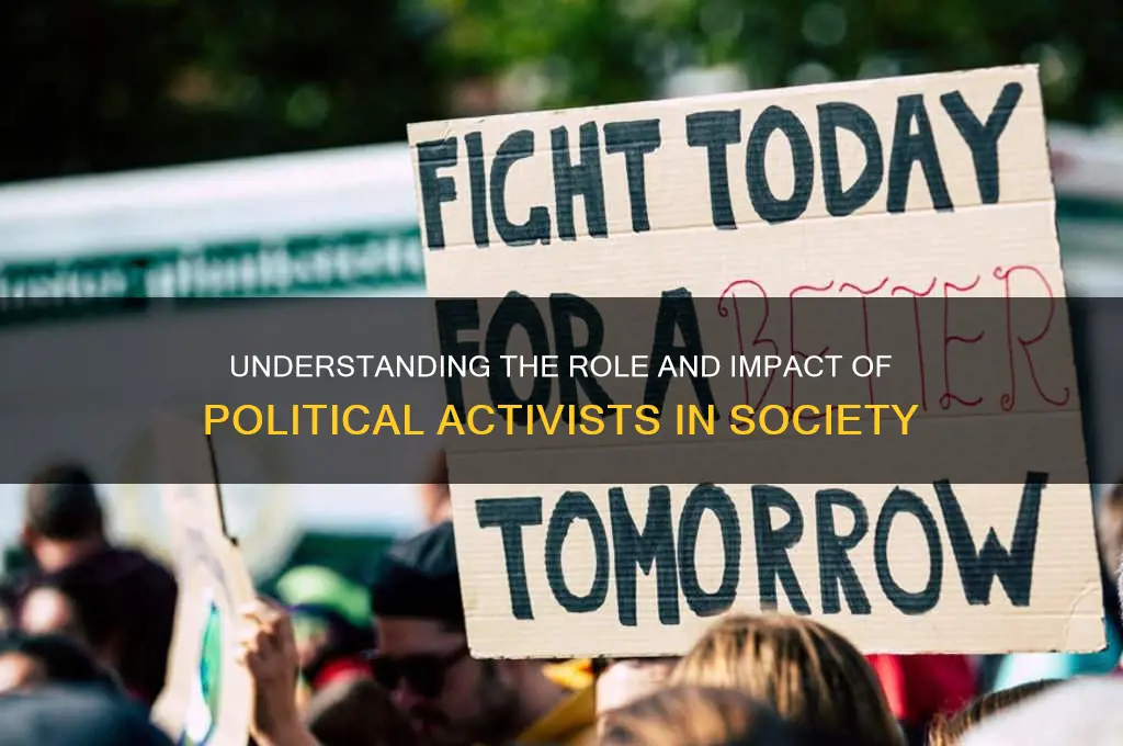 what is a political activists