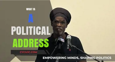 Understanding Political Addresses: Purpose, Structure, and Impact Explained