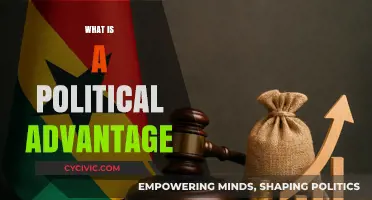 Understanding Political Advantage: Strategies, Power, and Influence in Governance