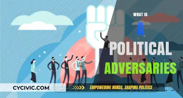 Understanding Political Adversaries: Roles, Impact, and Strategies in Democracy