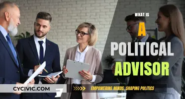 Understanding the Role of a Political Advisor: Influence and Strategy