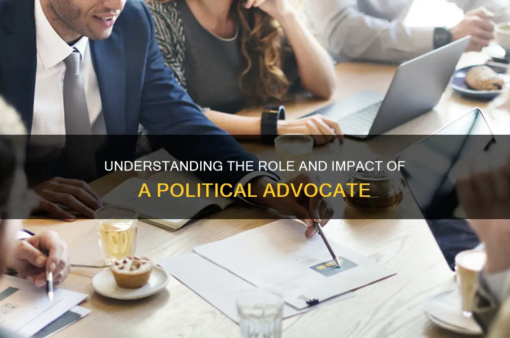 what is a political advocate