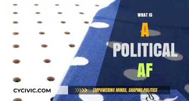Understanding the Term: What Does It Mean to Be Politically AF?