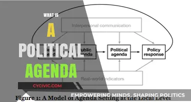 Understanding Political Agendas: Goals, Strategies, and Societal Impact Explained