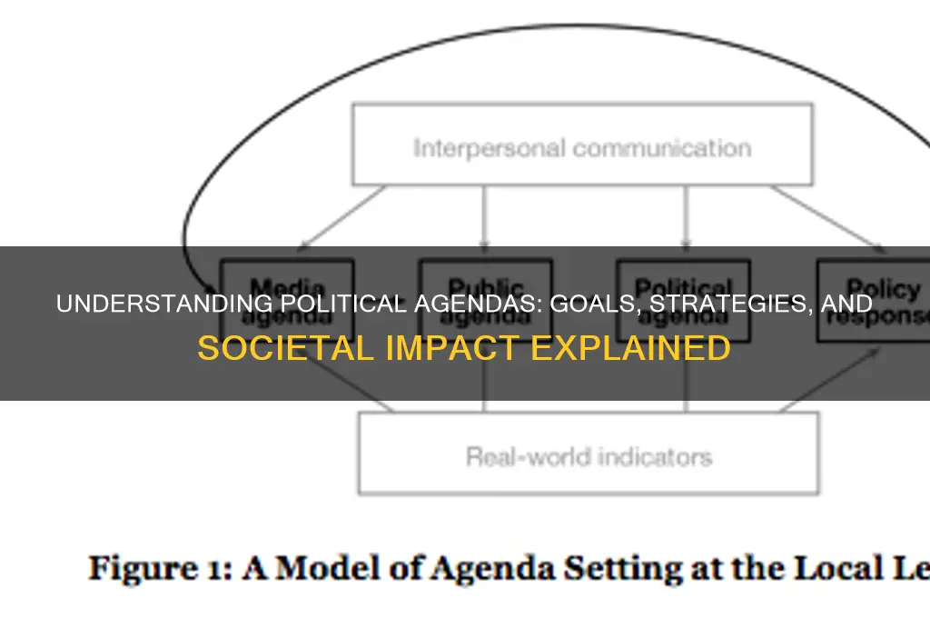 what is a political agenda