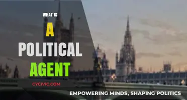 Understanding the Role and Influence of a Political Agent