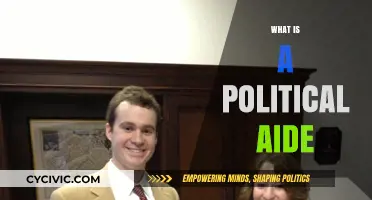 Understanding the Role and Impact of a Political Aide