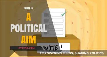 Understanding Political Aims: Goals, Strategies, and Societal Impact Explained