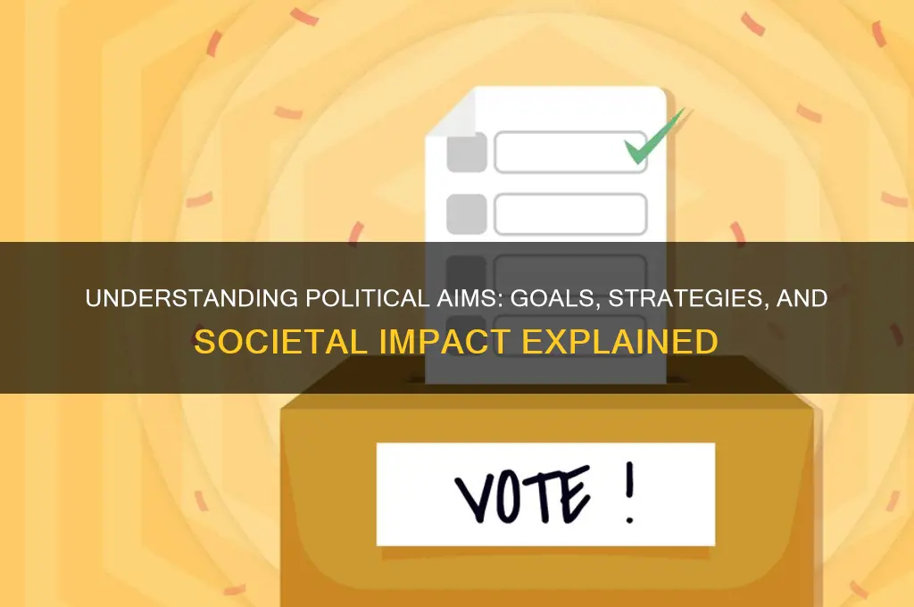 what is a political aim