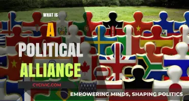 Understanding Political Alliances: Strategies, Partnerships, and Global Impact Explained