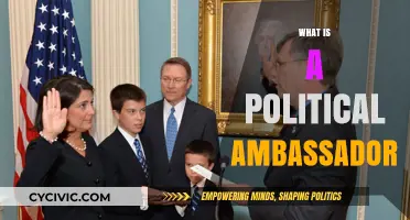 Understanding the Role and Influence of a Political Ambassador