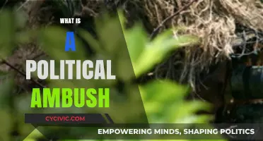 Understanding Political Ambushes: Tactics, Impact, and Real-World Examples