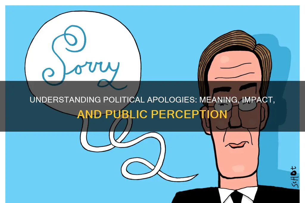 what is a political apology