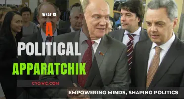 Understanding the Role of a Political Apparatchik in Modern Politics