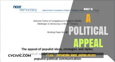 Understanding Political Appeal: Strategies, Influence, and Voter Engagement Explained