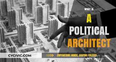 Understanding the Role of a Political Architect in Shaping Governance