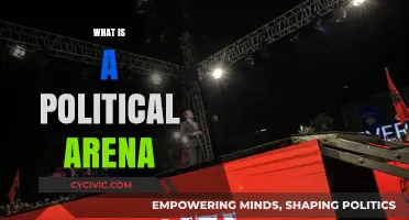 Understanding the Political Arena: A Comprehensive Guide to Power Dynamics