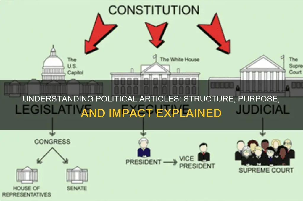 what is a political article