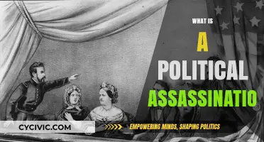 Understanding Political Assassinations: Motives, Methods, and Historical Impact