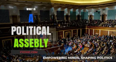 Understanding Political Assemblies: Functions, Structures, and Global Significance