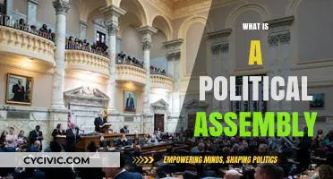 Understanding Political Assemblies: Functions, Importance, and Global Examples