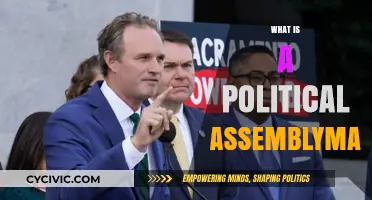 Understanding the Role and Responsibilities of a Political Assemblyman