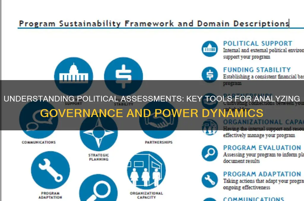 what is a political assessment