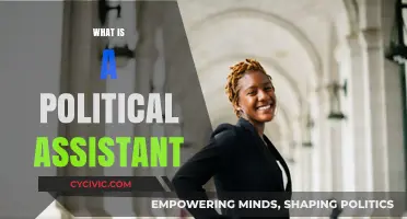 Understanding the Role of a Political Assistant in Modern Politics