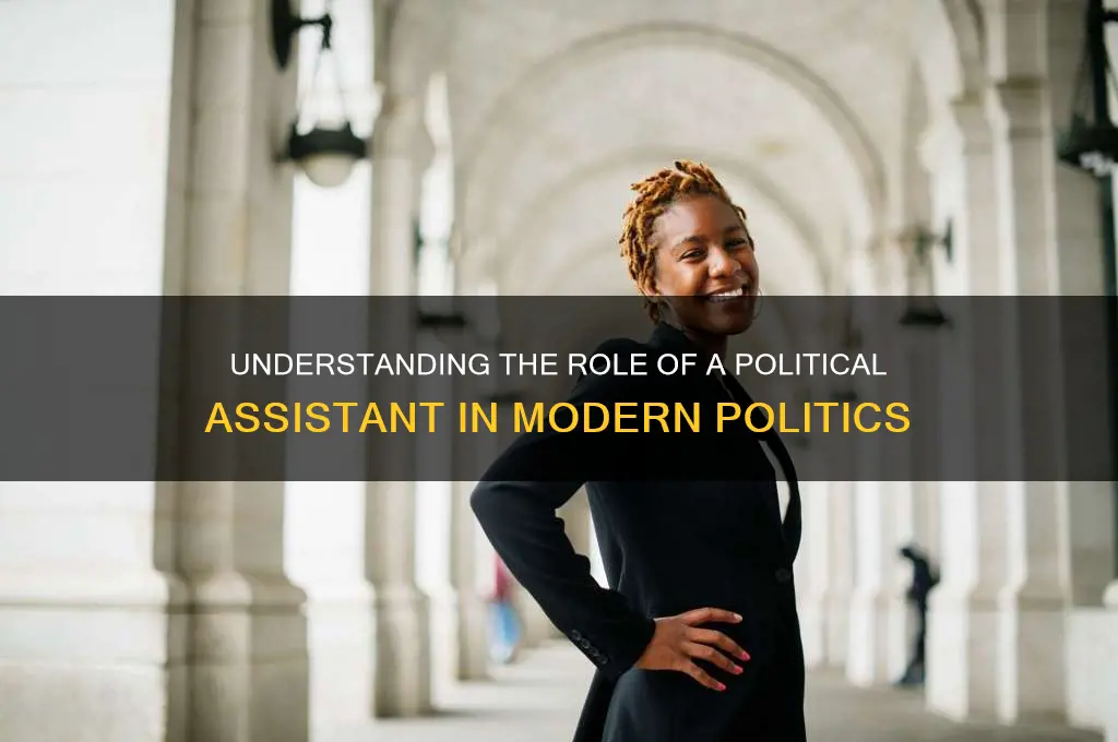 what is a political assistant