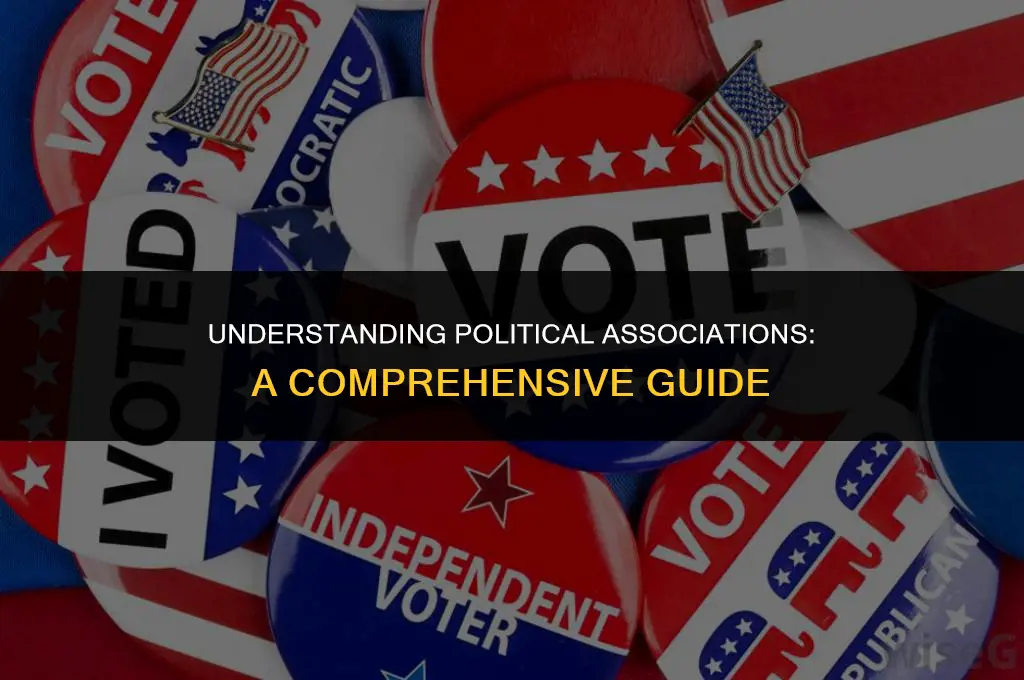 what is a political association mean